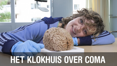 Het Klokhuis | Coma